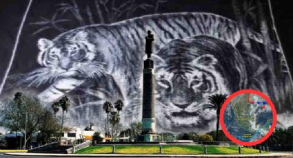 Nuevo Laredo: prepara el cobertor de tigre, se aproximan bajas temperaturas y lluvias