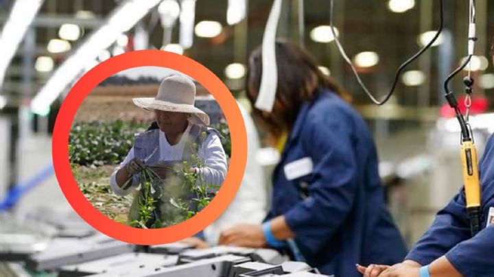 Las ciudades de EU donde más empleos estarán disponibles para latinos en 2025