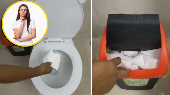 ¿En dónde se tira el papel de baño, en la taza o en el bote?; aquí la respuesta definitiva | VIDEO