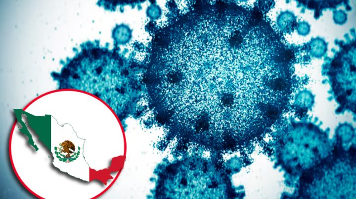 Virus HMPV llegó a México: estos son los estados con los primeros casos