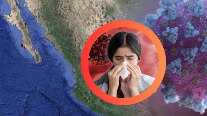 Alerta en Nuevo León: confirman 2 casos del Virus HMPV; ¿cuáles son sus síntomas?