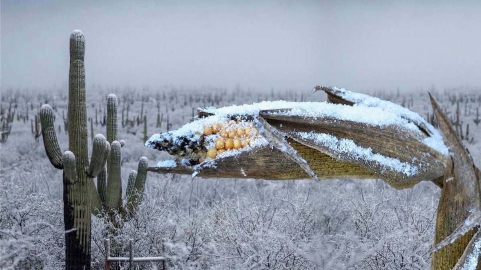 Nieve y aguanieve en estos lugares en México