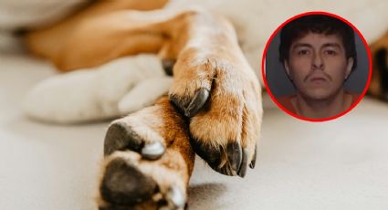 Texas: arrestan a sujeto por obligar a otro a cavar una tumba; había matado a su perro