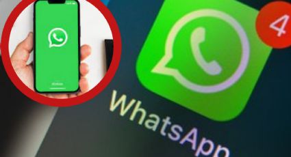 Estos son los archivos de WhatsApp que debes borrar