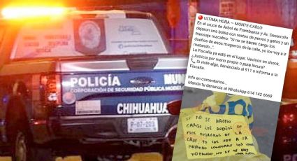 Localizan bolsas llenas de gatos muertos; amenazan mediante una nota  'que van por más'