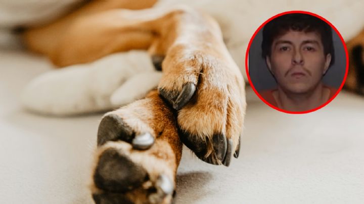 Texas: arrestan a sujeto por obligar a otro a cavar una tumba; había matado a su perro