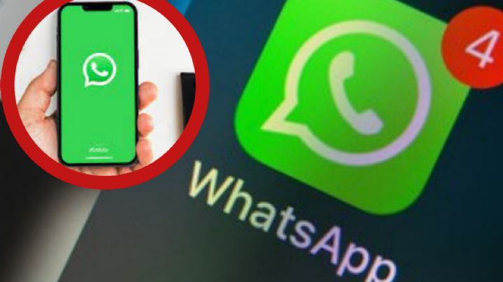 Estos son los archivos de WhatsApp que debes borrar