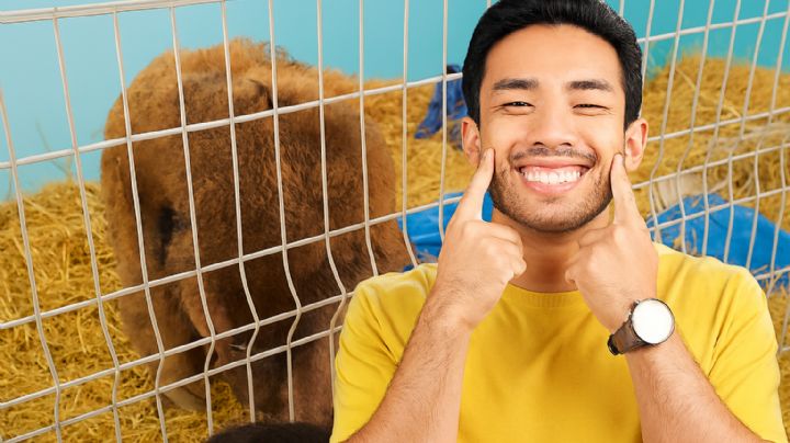 'Tiene ganas de vivir': el impresionante cambio de 'Mina', la osa rescatada de La Pastora en Monterrey | VIDEO