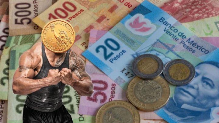 Peso sufre inesperada caída frente al dólar; tipo de cambio HOY 10 de octubre