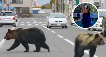 Anciana es atacada por un oso en plena calle; resultó con graves heridas | VIDEO