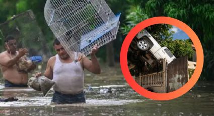 Lluvias en México: 150 municipios en crisis por tormentas; reportan 64 muertos y 65 desaparecidos