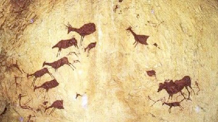 Cueva de los Caballos: el tesoro oculto que resguarda más de mil pinturas rupestres en Tamaulipas