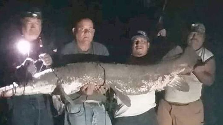 Este ha sido el catán más grande capturado en el río Bravo; pescadores dicen que es récord histórico