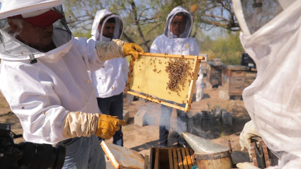 Buscan impulsar el desarrollo del sector agropecuario.