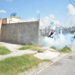 Alertan por peligros del dengue; fumigarán en estas colonias de Nuevo Laredo