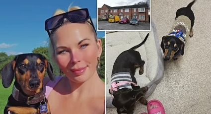 Mujer de 45 años es hallada muerta en su casa; sus perros salchicha devoraron su cadáver