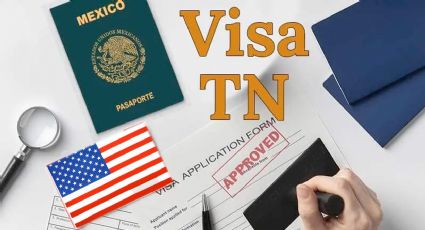 Visa TN, la opción para trabajar como profesionista en EU sin pagar 100 mil dólares por la H-1B