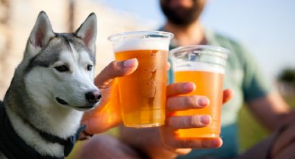 MOMENTO EXACTO en el que una mujer obliga a perro a beber alcohol y se hace viral; exigen sanciones