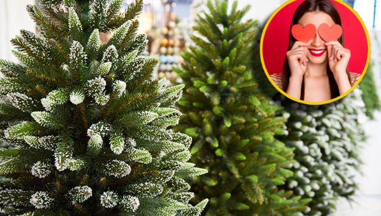 Navidad 2025: la nueva tendencia en Europa que reemplaza al tradicional pino este año