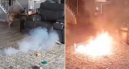 Perro desata incendio en casa, le dio un 'mordisco' a esto y se desataron las llamas | VIDEO