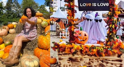 Ciudades de Texas que tienen los mejores festivales de calabazas, ¿por qué son famosos?
