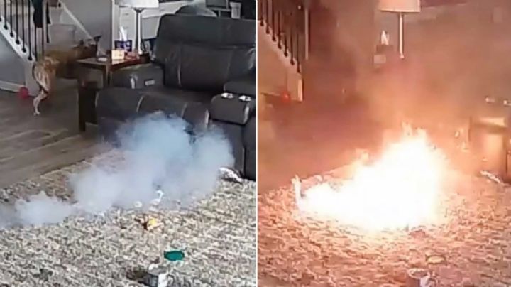 Perro desata incendio en casa, le dio un 'mordisco' a esto y se desataron las llamas | VIDEO