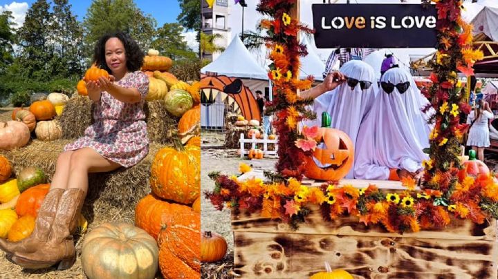Ciudades de Texas que tienen los mejores festivales de calabazas, ¿por qué son famosos?