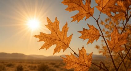 Clima de Nuevo Laredo: el calor se intensifica este lunes con temperaturas de verano