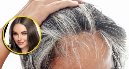 ¿Cansado de las canas?, Walmart ofrece este shampoo que promete cubrirlas a un bajísimo precio