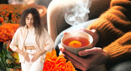 Flor de cempasúchil: un remedio natural contra los cólicos menstruales; ¿cómo prepararlo?
