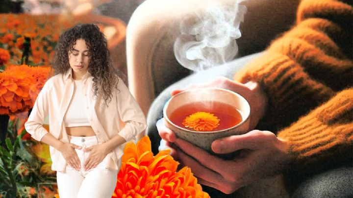 Flor de cempasúchil: un remedio natural contra los cólicos menstruales; ¿cómo prepararlo?