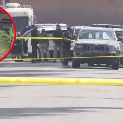 Tiroteo en operativo migratorio en Los Ángeles deja a un agente federal herido