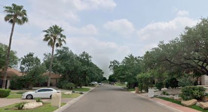 Jardinero muere por un infarto en lo alto de una palmera; queda colgado de sus correas de seguridad