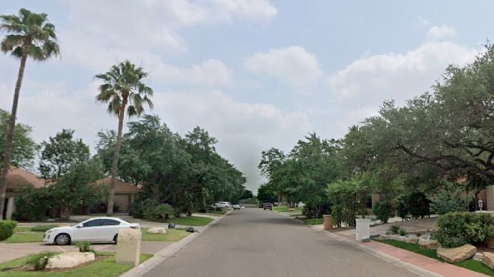 Jardinero muere por un infarto en lo alto de una palmera; queda colgado de sus correas de seguridad