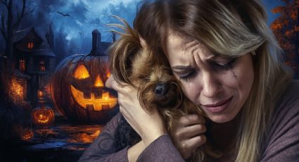 Autoridades alertan que estas mascotas podrían ser víctimas de maltrato en Halloween