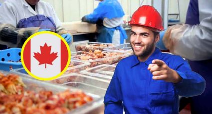 Canadá ofrece trabajo para mexicanos y paga más de 34 mil pesos; así puedes postularte