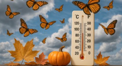 Clima en Nuevo Laredo: lunes de descenso gradual de temperatura; ¿cuándo llegan las lluvias?