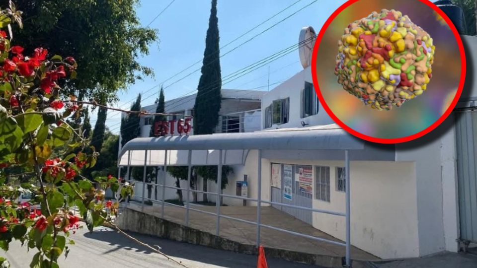 Las autoridades recordaron que nadie está exento de contraerla, especialmente en espacios escolares cerrados o con alta convivencia