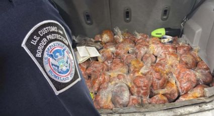 Día de Muertos: CBP aplicará multas a quienes intenten cruzar flores o alimentos; ¿cuánto costará?