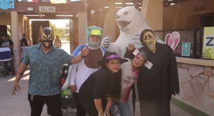 'Azoostate' llenará de diversión y leyendas el zoológico de Nuevo Laredo; ¿cuándo es el evento?