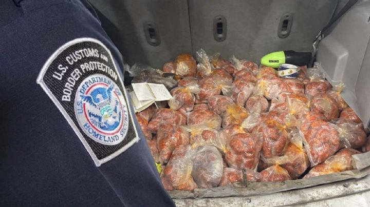 Día de Muertos: CBP aplicará multas a quienes intenten cruzar flores o alimentos; ¿cuánto costará?