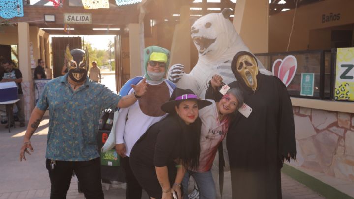 'Azoostate' llenará de diversión y leyendas el zoológico de Nuevo Laredo; ¿cuándo es el evento?