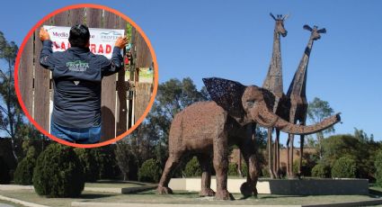 Zoológico 'La Pastora' clausurado por Profepa; osa 'Mina' destapa graves negligencias