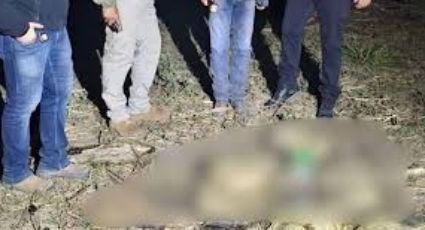 Escalofriante hallazgo de 41 caimanes muertos y sin cuero; estaban en estado de descomposición
