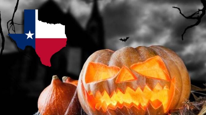 Halloween 2025: ¿dónde encontrar las calabazas más baratas en Texas, según la IA?