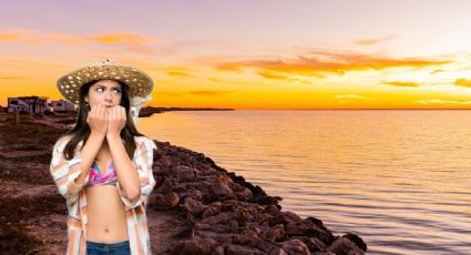 Terror en Texas: enorme animal aparece en la playa; extremidades pueden medir hasta 21 metros