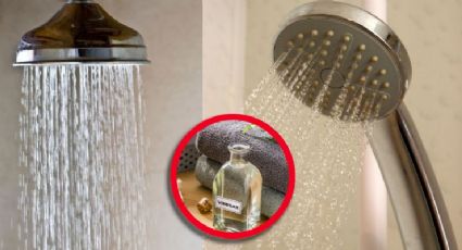 Elimina el sarro de tu regadera con este truco casero que revoluciona la limpieza del baño