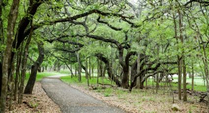 Construirán 160 kilómetros de senderos para bicis y caminatas que conectarán Austin y San Antonio