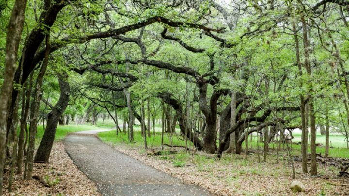 Construirán 160 kilómetros de senderos para bicis y caminatas que conectarán Austin y San Antonio