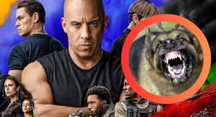 Famoso actor de ‘Rápidos y Furiosos’ se entrega a la policía; esto fue lo que hicieron sus perros